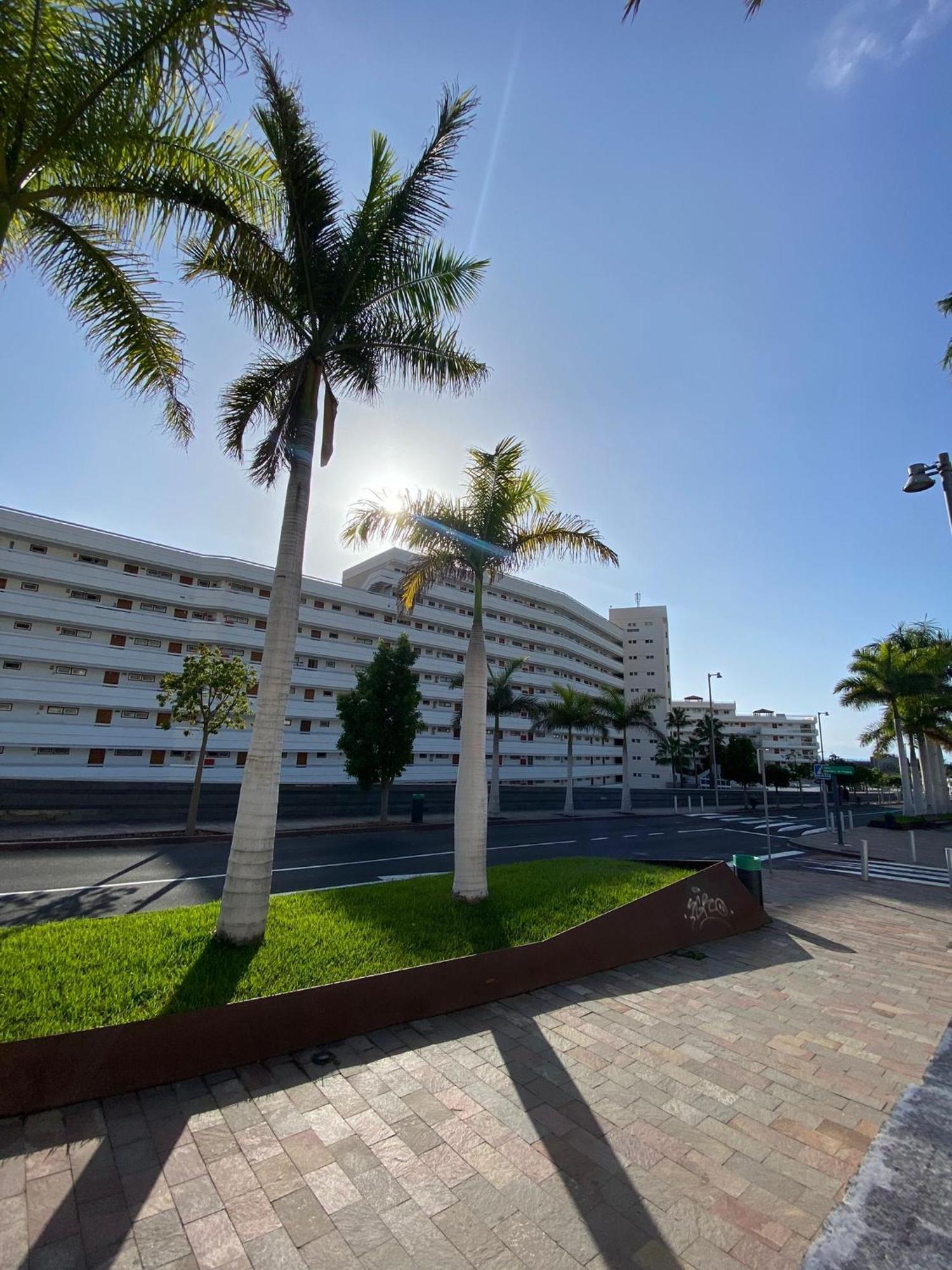 פלאייה דה לאס אמריקס Nice Apartment In Las Americas/Costa Adeje 1 מראה חיצוני תמונה